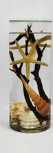 Load image into Gallery viewer, Oil Candle ~ Full Cylinder Vase (multiple styles)