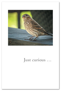 Greeting Card - Birthday - "Just curious..."