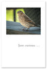 Greeting Card - Birthday - "Just curious..."