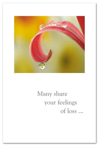 Greeting Card - Condolence - "Many Share Your Feelings of loss..."