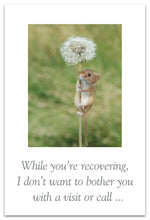 Load image into Gallery viewer, Greeting Card - Feel Better - &quot;...wishing you well from afar!&quot;