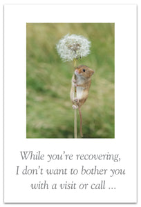 Greeting Card - Feel Better - "...wishing you well from afar!"
