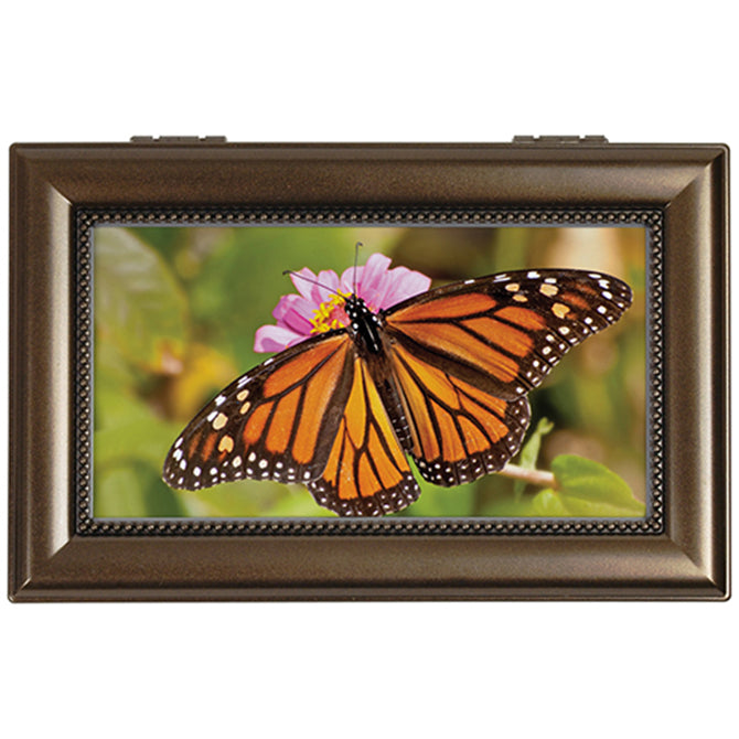 Butterfly Music Box-