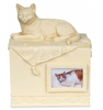 Urn ~ Cat Companion