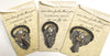 Visor Clip-Guardian Angel Choice of 3 styles